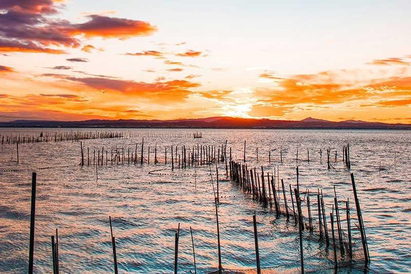 Albufera de valencia que ver en la comunidad valenciana