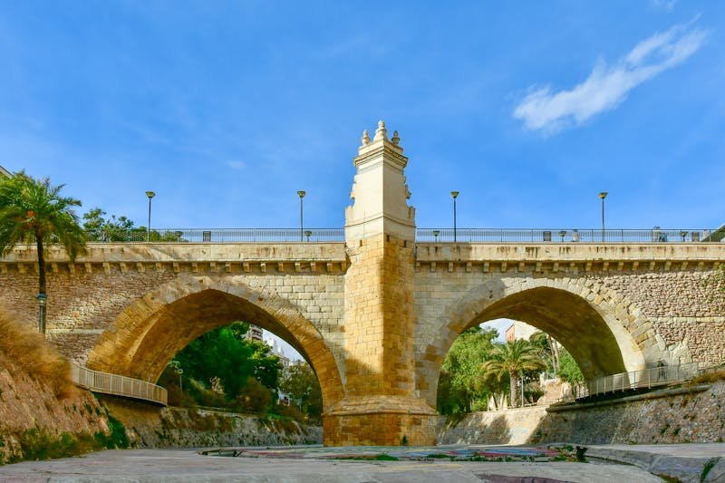 Elche ciudad de palmeras en la comunidad valenciana