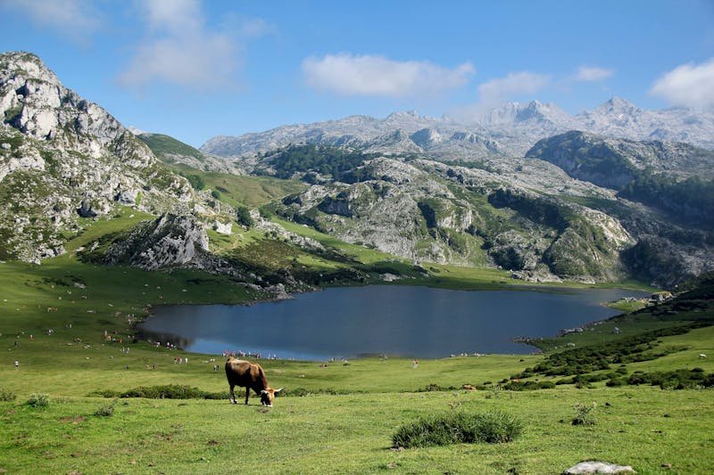 lagos de covadonga lagos de covadonga